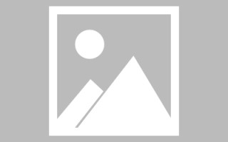 香港河池网站建设定制（河池网站建设定制招标公告）